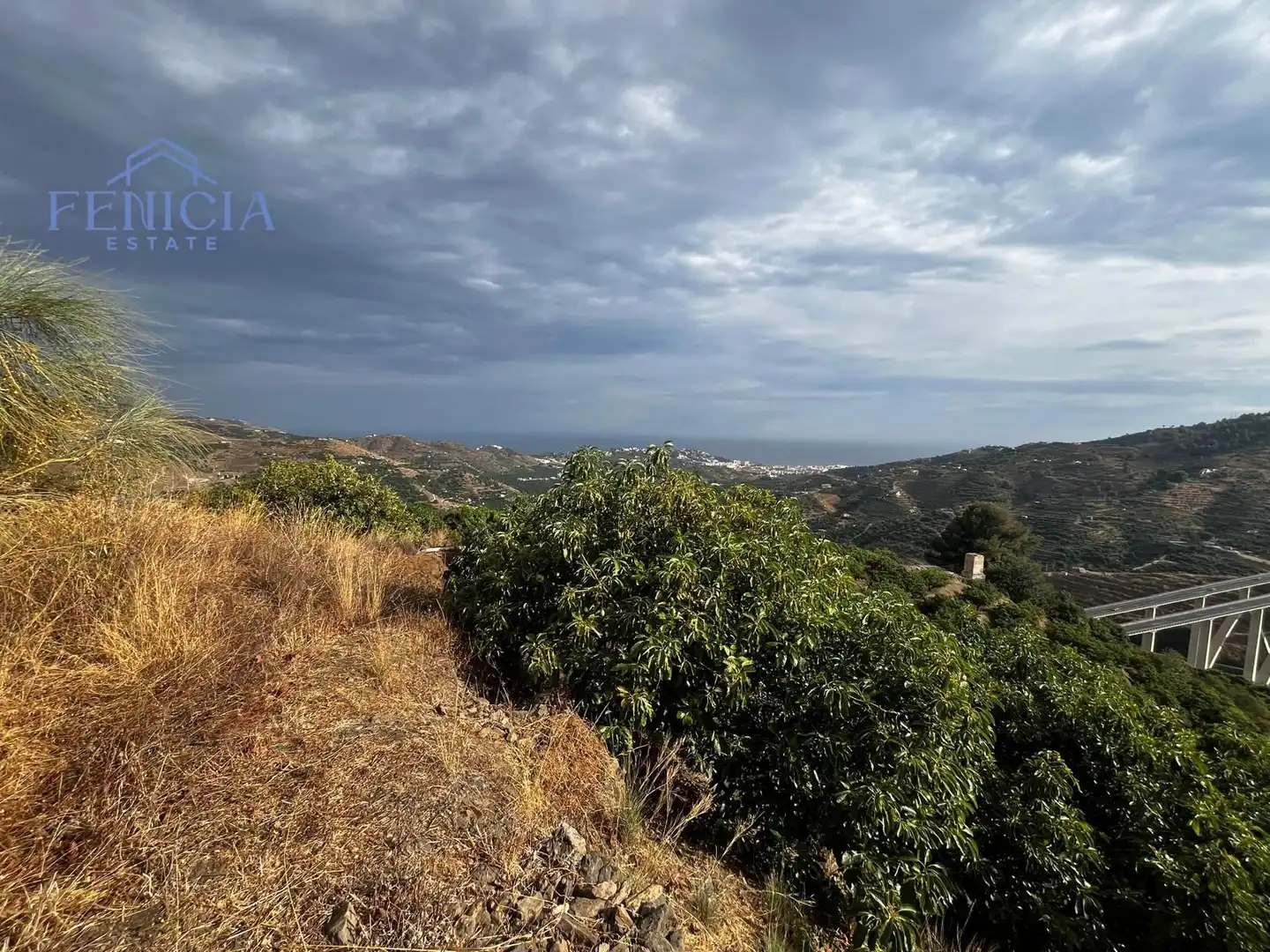 Vista exterior de Terreno en venta en Almuñécar