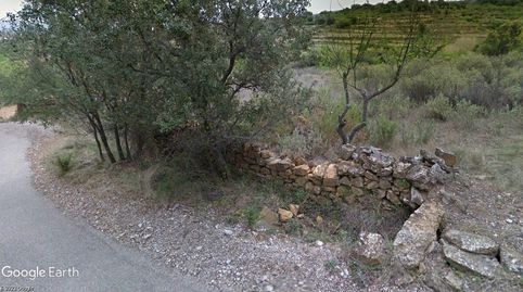 PARCELA PARA RECREO, HUERTO, ANIMALES, immagine 3