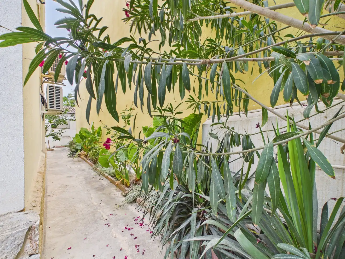 Garten von Erdgeschoss zur Miete in  Palma de Mallorca mit Möbliert
