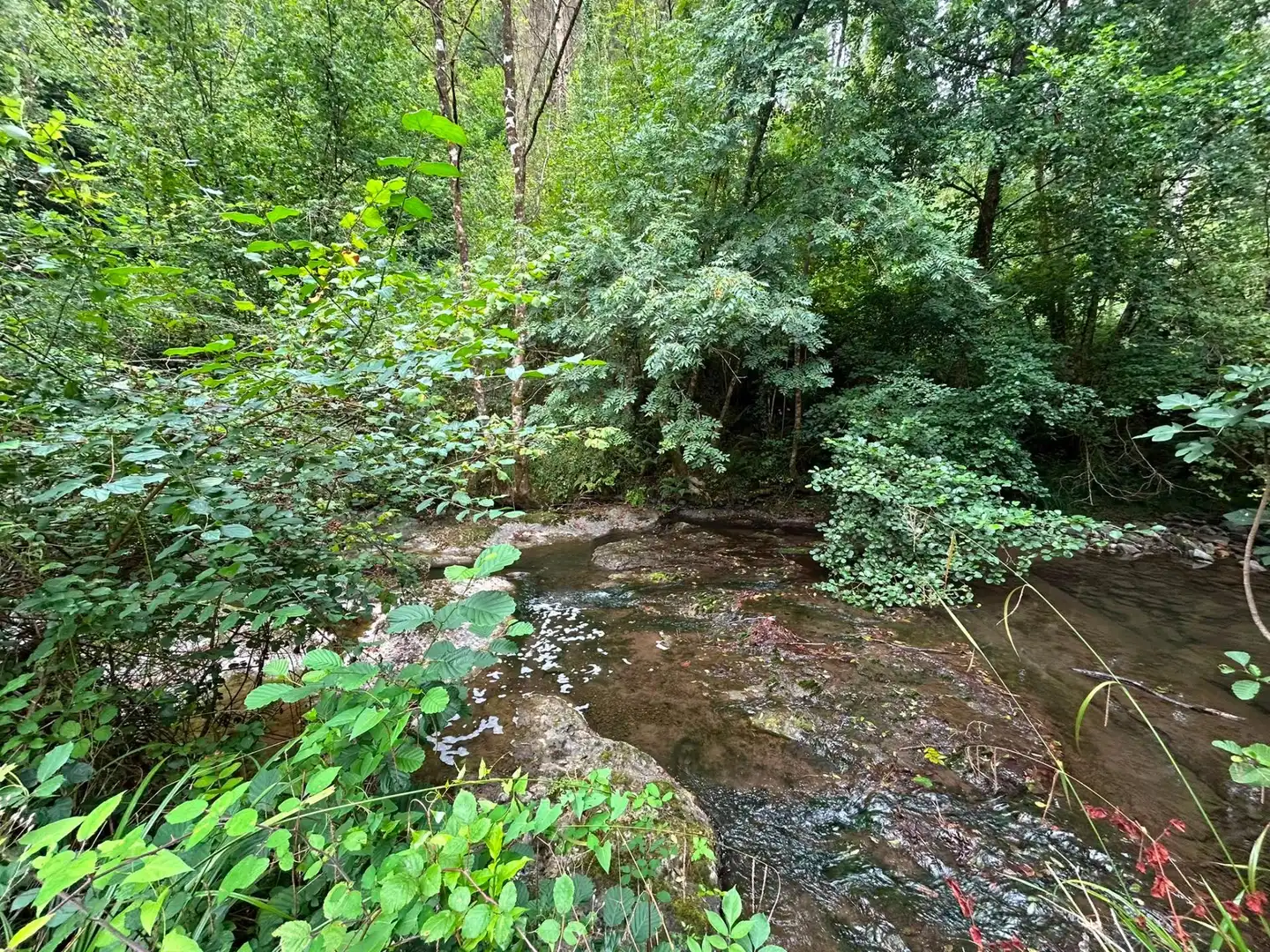 Casa o chalet en venta en Sopuerta con Jardín privado y Trastero
