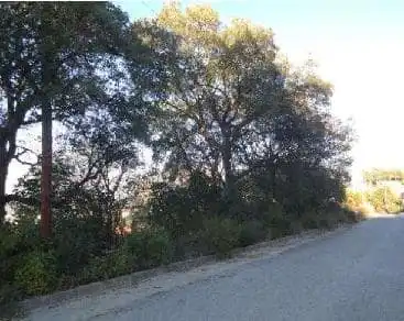 Terreno rústico en venta en C/ Sant Felip, imagen 10