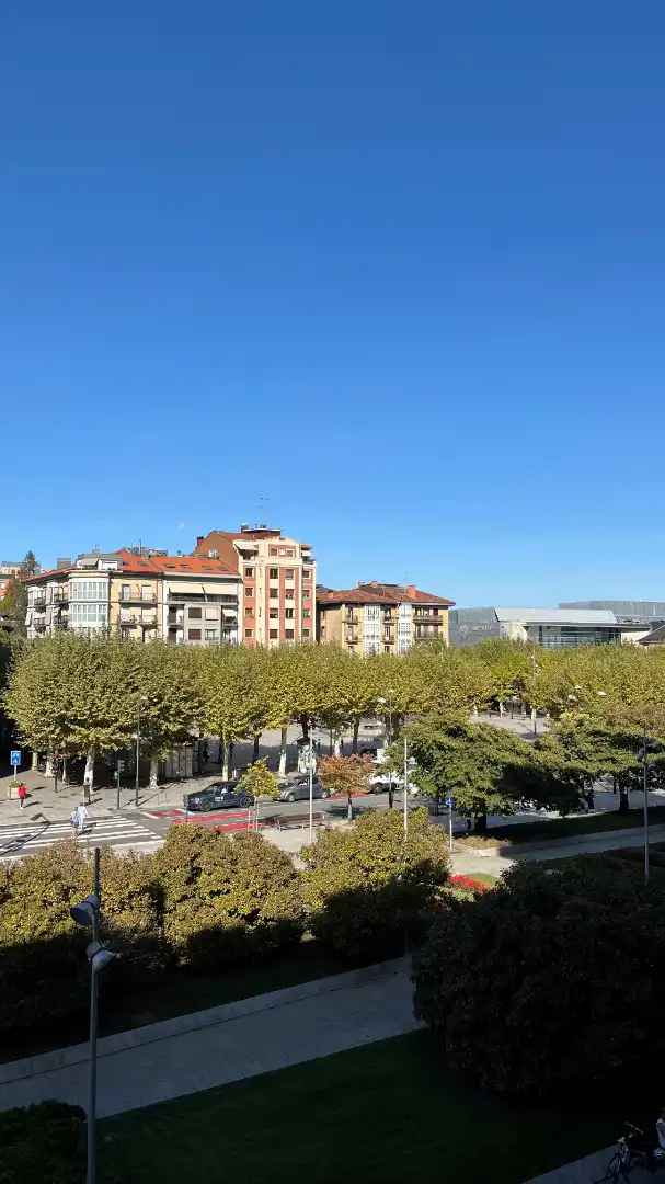 Pis amb terrassa en venda a Centro - Mendibil - Santiago, imagen 2