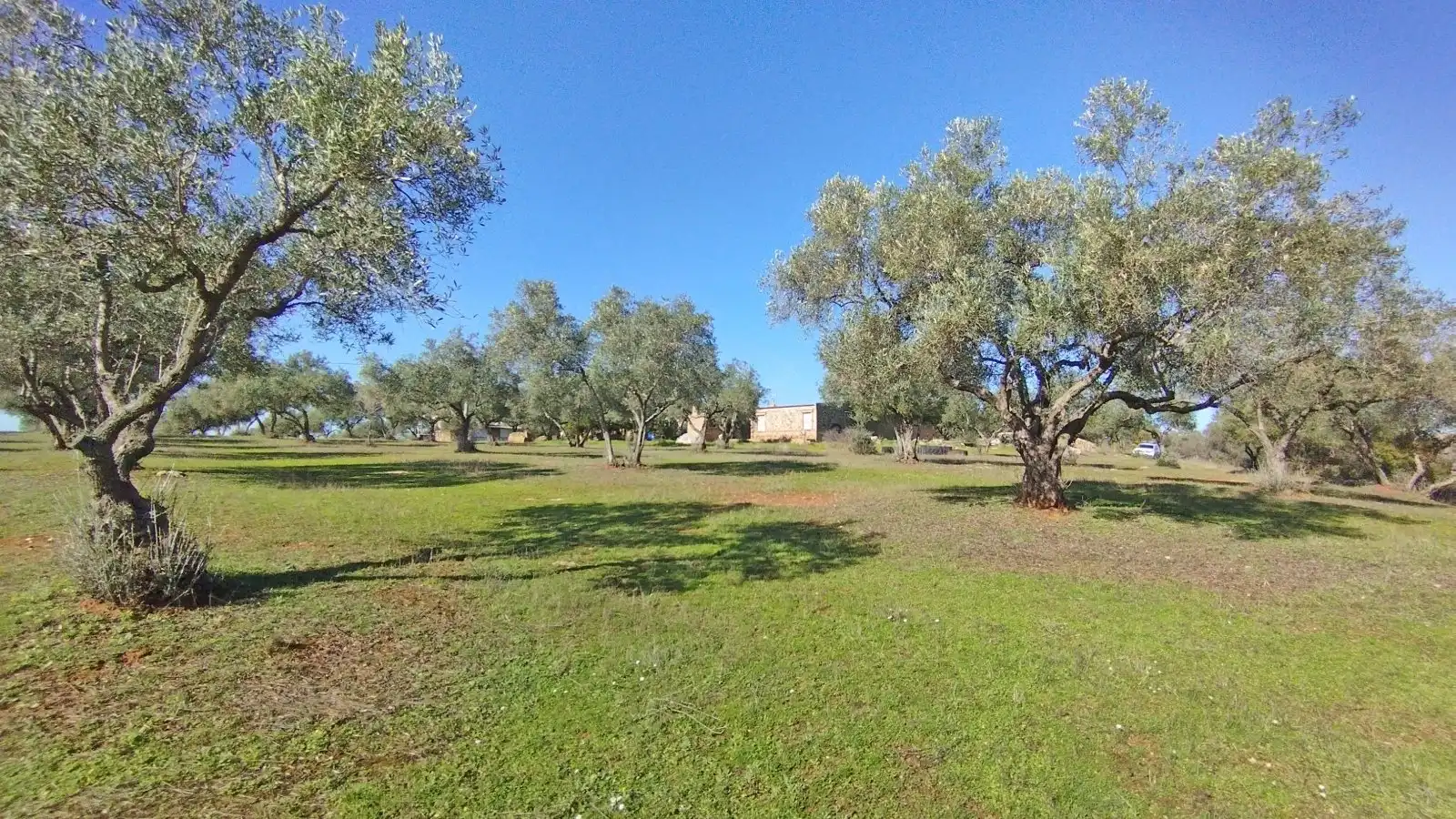 Residential for sale in Villarrasa