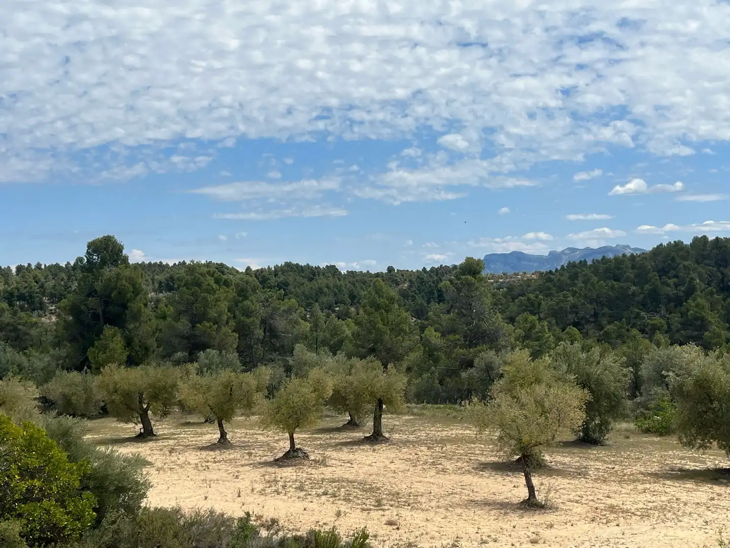 Terreni e lotti in vendita a Cretas, imagen 12