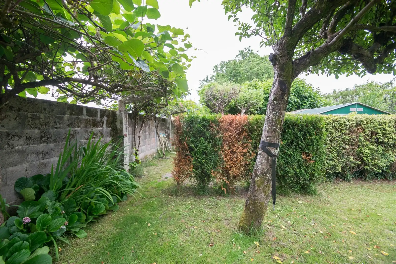 Jardín de Casa o chalet en venta en Culleredo con Calefacción, Jardín privado y Parquet
