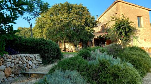 Foto 4 de Finca rústica en venda a Establiments,  Palma de Mallorca