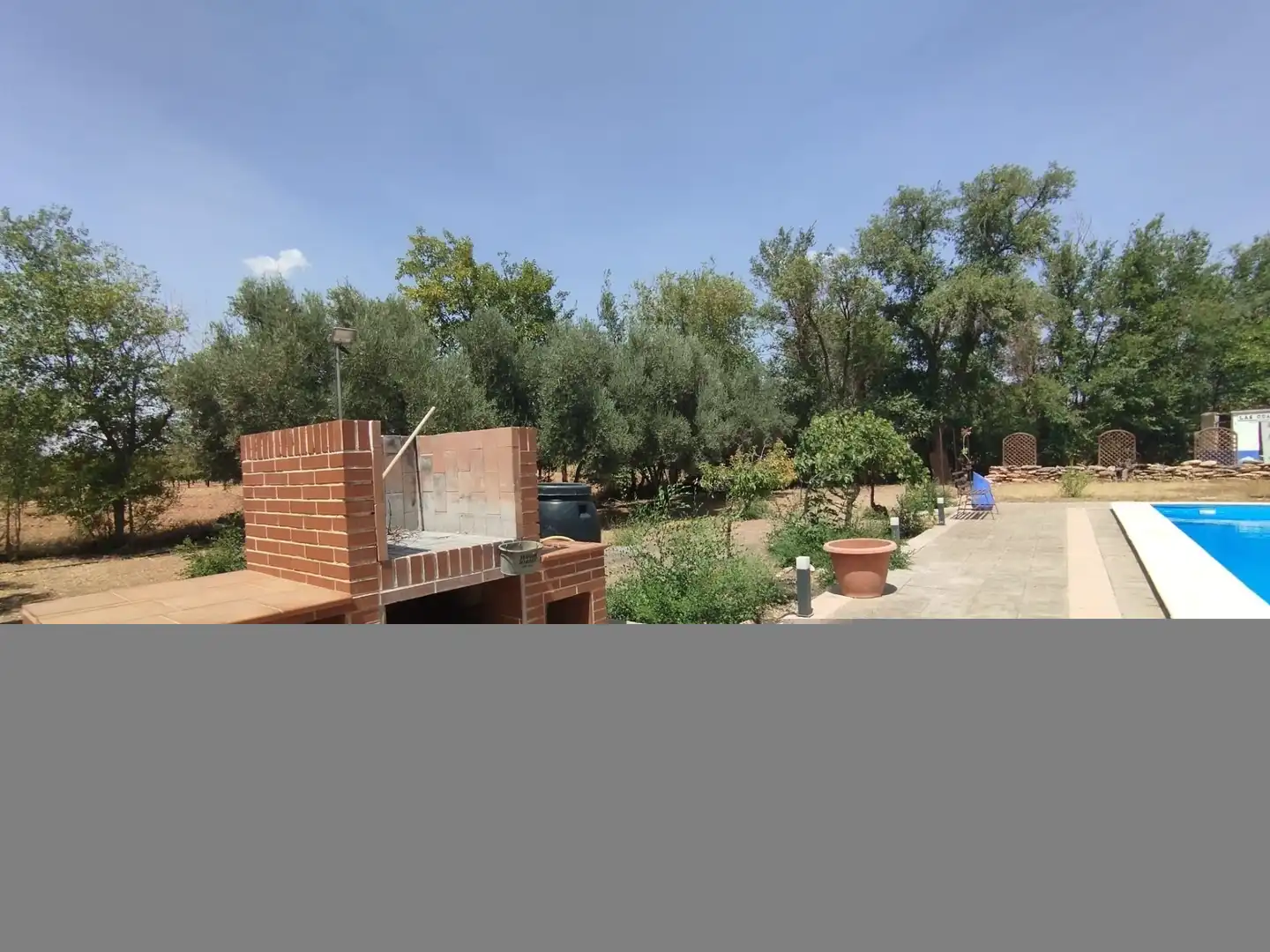 Jardí de Finca rústica en venda en Argamasilla de Alba amb Jardí privat, Piscina i Moblat