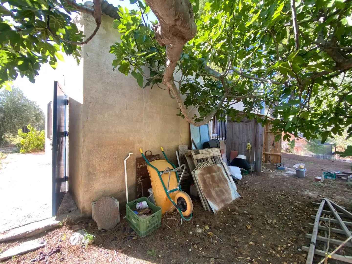 Terrain rustique à vendre à Moratalla, imagen 18