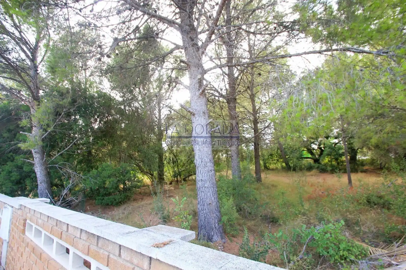 Terreny residencial en venda a Platja de Mont-roig, imagen 19