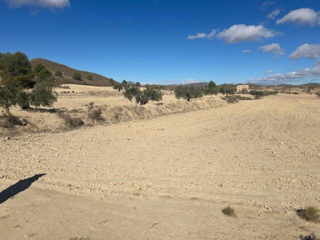 Terreno en Venta en Parroquia, 1 en Ortillo