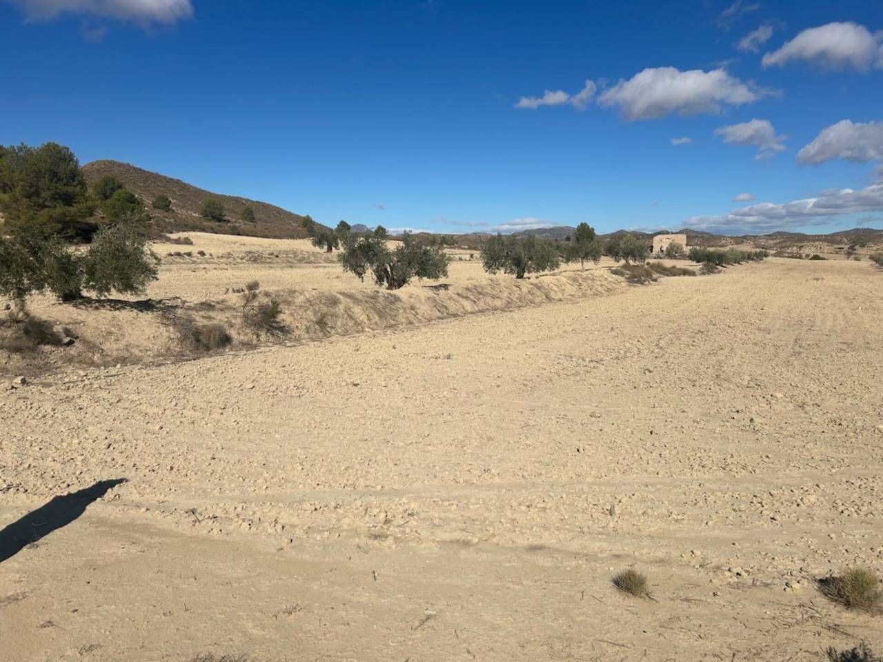 Land for sale in Lorca