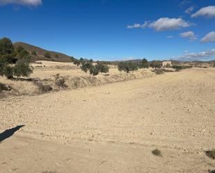 Land for sale in Lorca