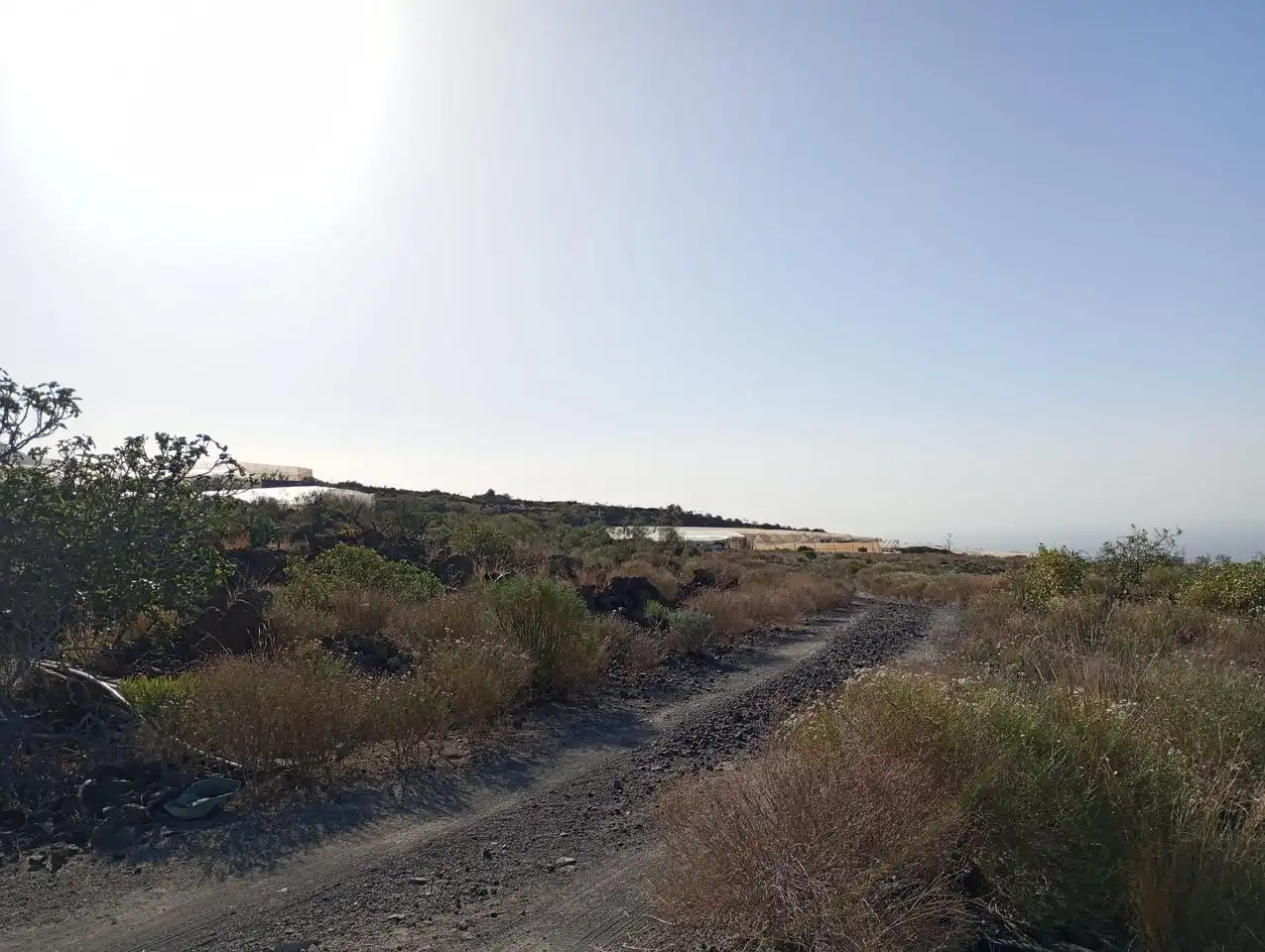 Terreno rústico en venta en Guía de Isora interior, imagen 14