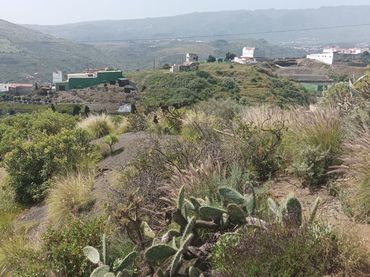 Rural land for sale in 13 Parcela 792