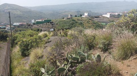Terreno RÚSTICO AGRARIO de 2.250m2 en el PALMITAL