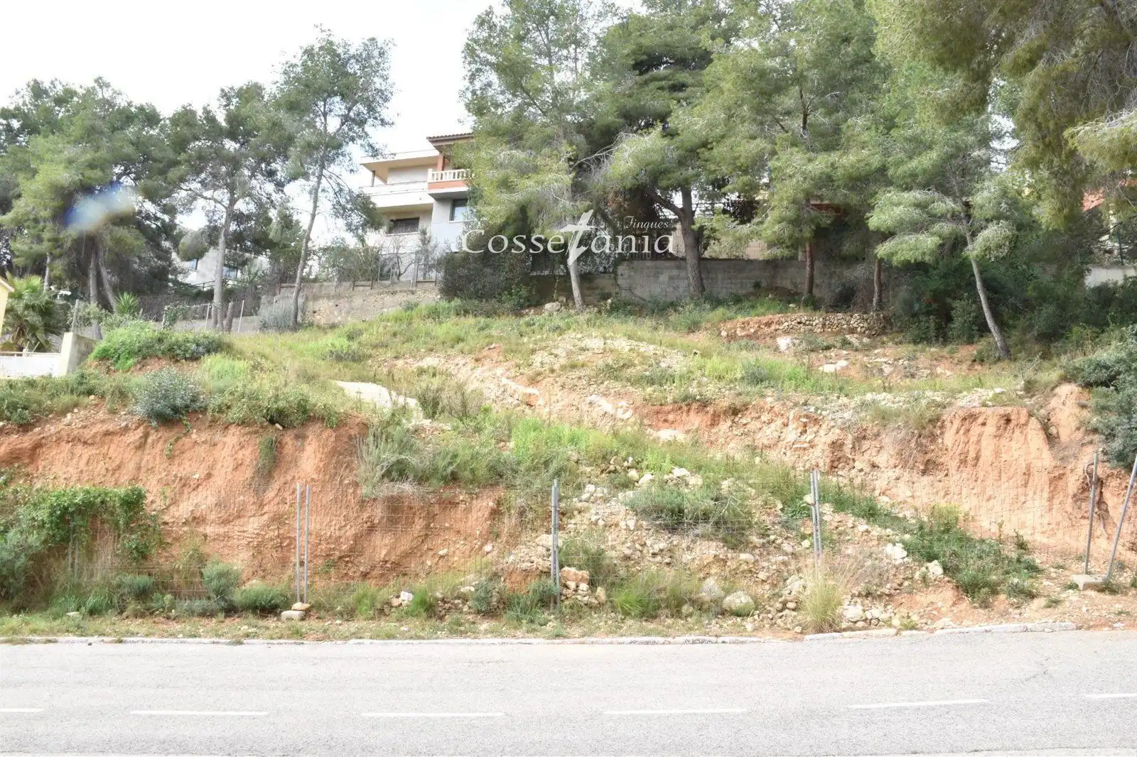 Rural land for sale in GLADIOL, imagen 11