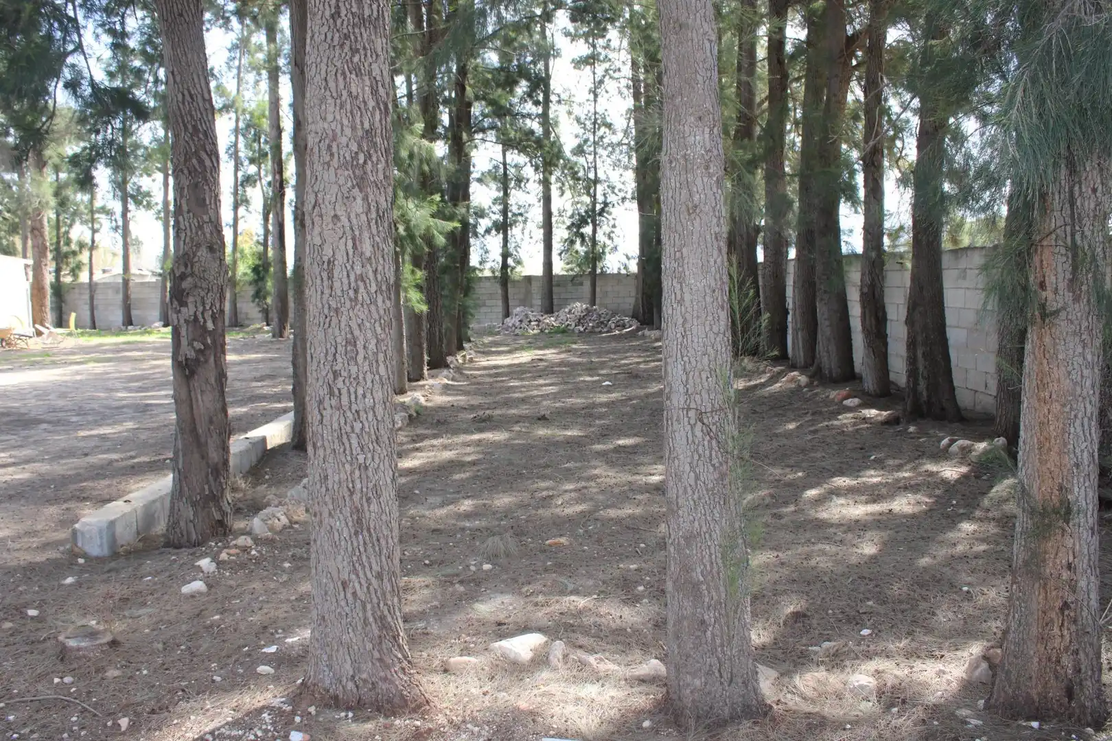 Finca rústica en venda en Oliva