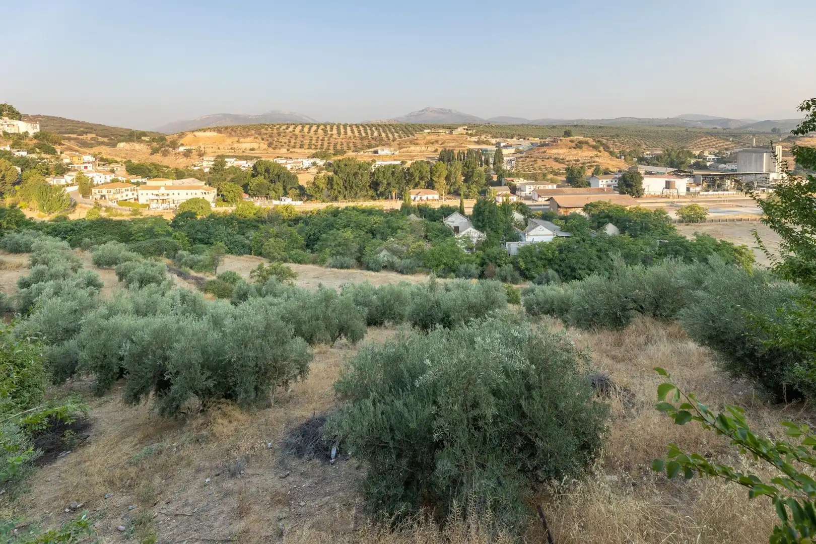 Residential for sale in Iznalloz