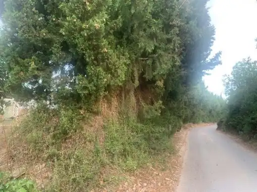 Rural land for sale in Partidas Fornas, Pol 11, imagen 6