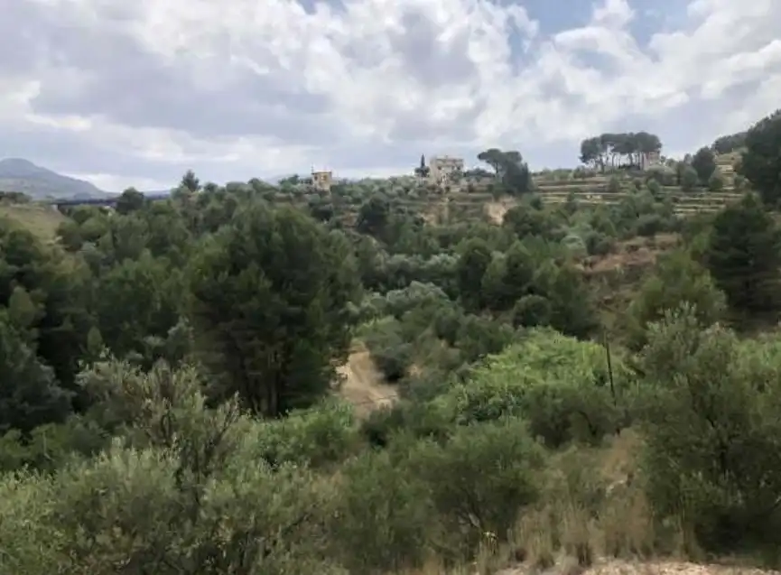 Terrain rustique à vendre à Partida Algars, imagen 7