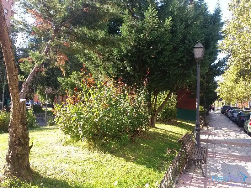 Pis amb ascensor en venda a Parque Lisboa - La Paz, imagen 6