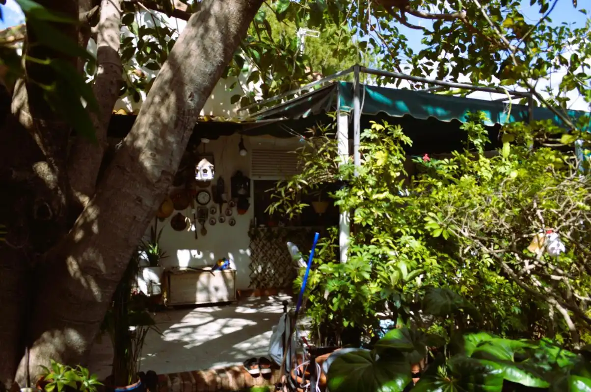 Jardí de Casa o xalet en venda en Orihuela amb Aire condicionat, Calefacció i Jardí privat