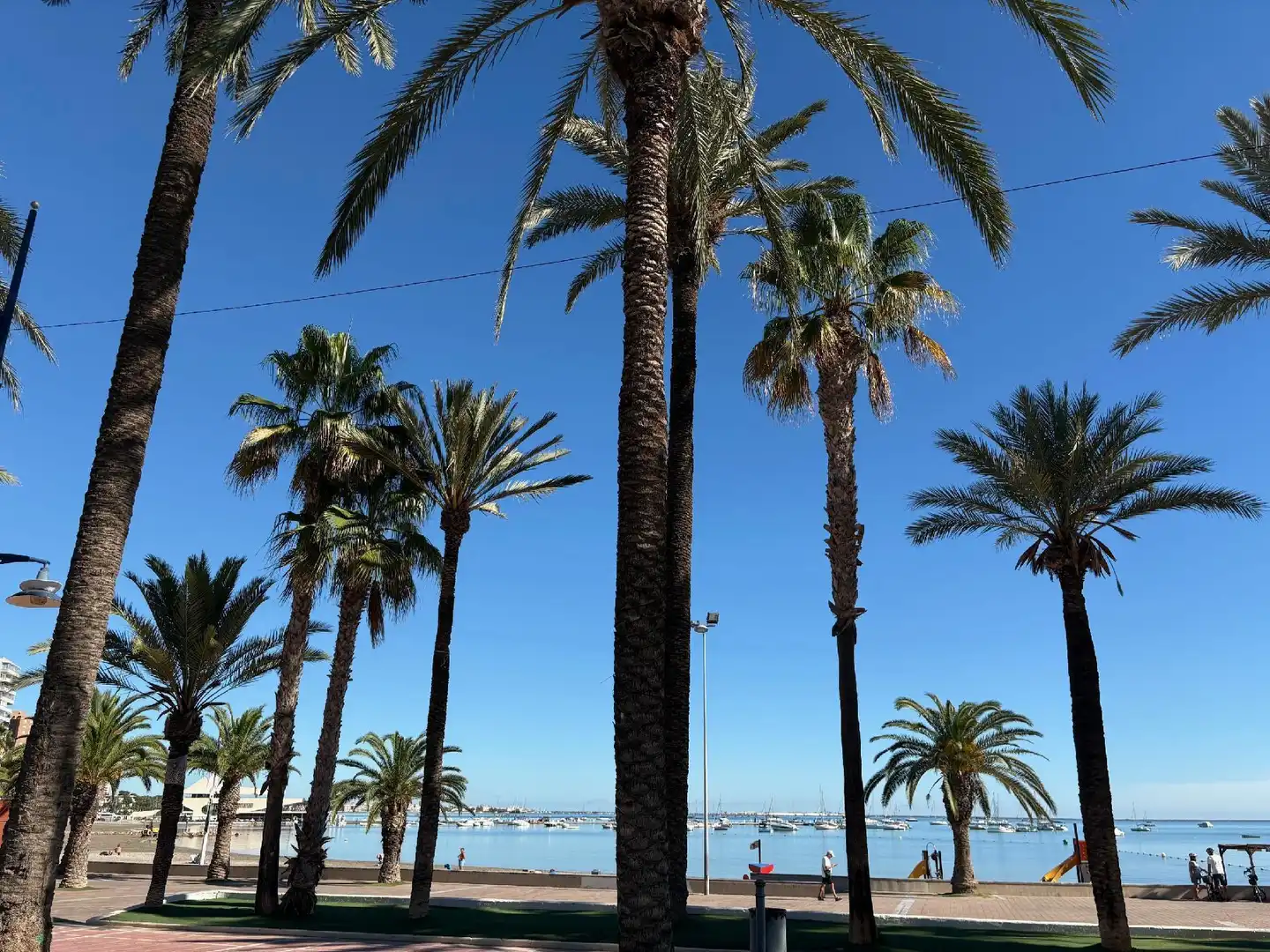 Vista exterior de Àtic en venda en San Javier amb Terrassa