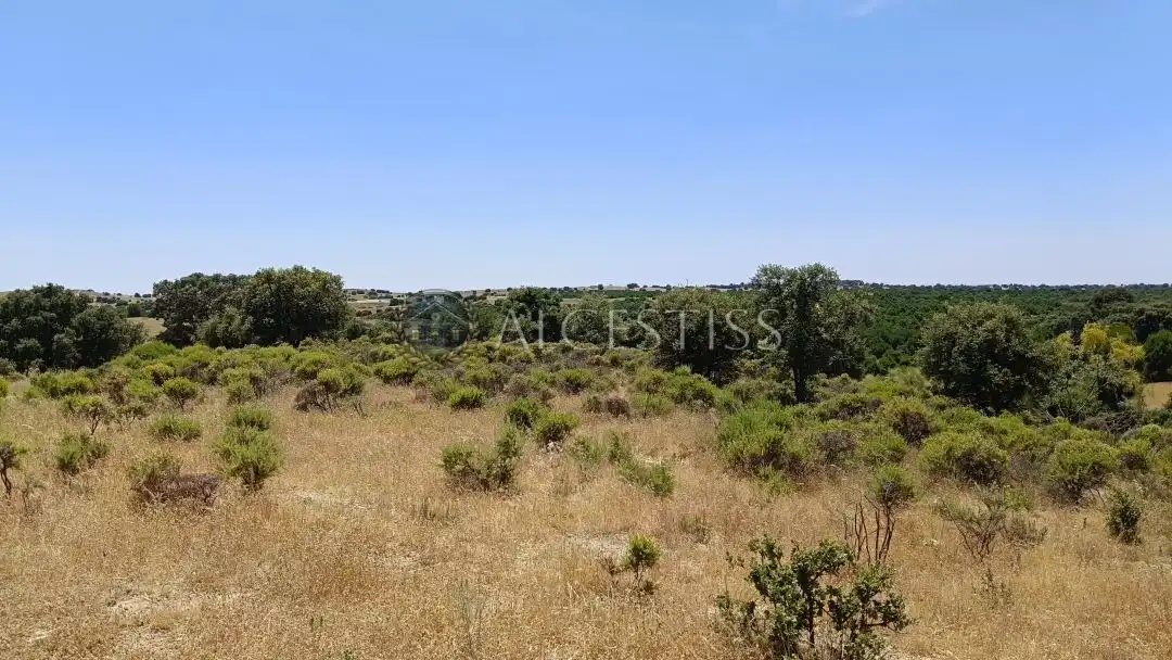 Terreno en venta en La Torre de Esteban Hambrán