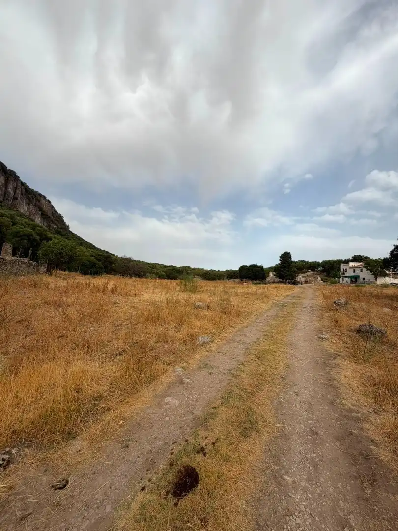Rural land for sale in Morón de la Frontera, imagen 4