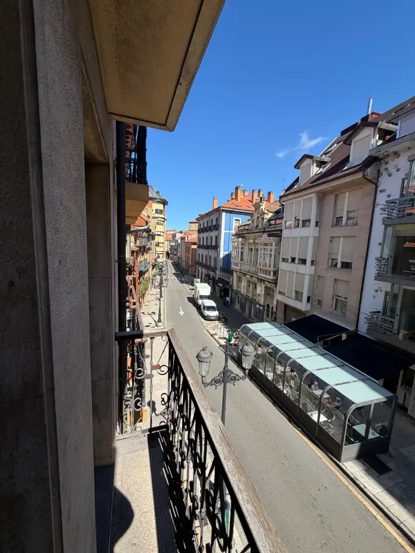 Pis amb terrassa en venda a Calle Rosal 34, imagen 34