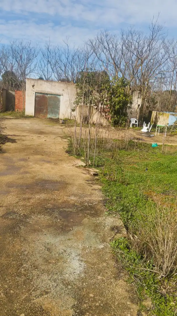 Houses for sale in Albacete  with Private garden