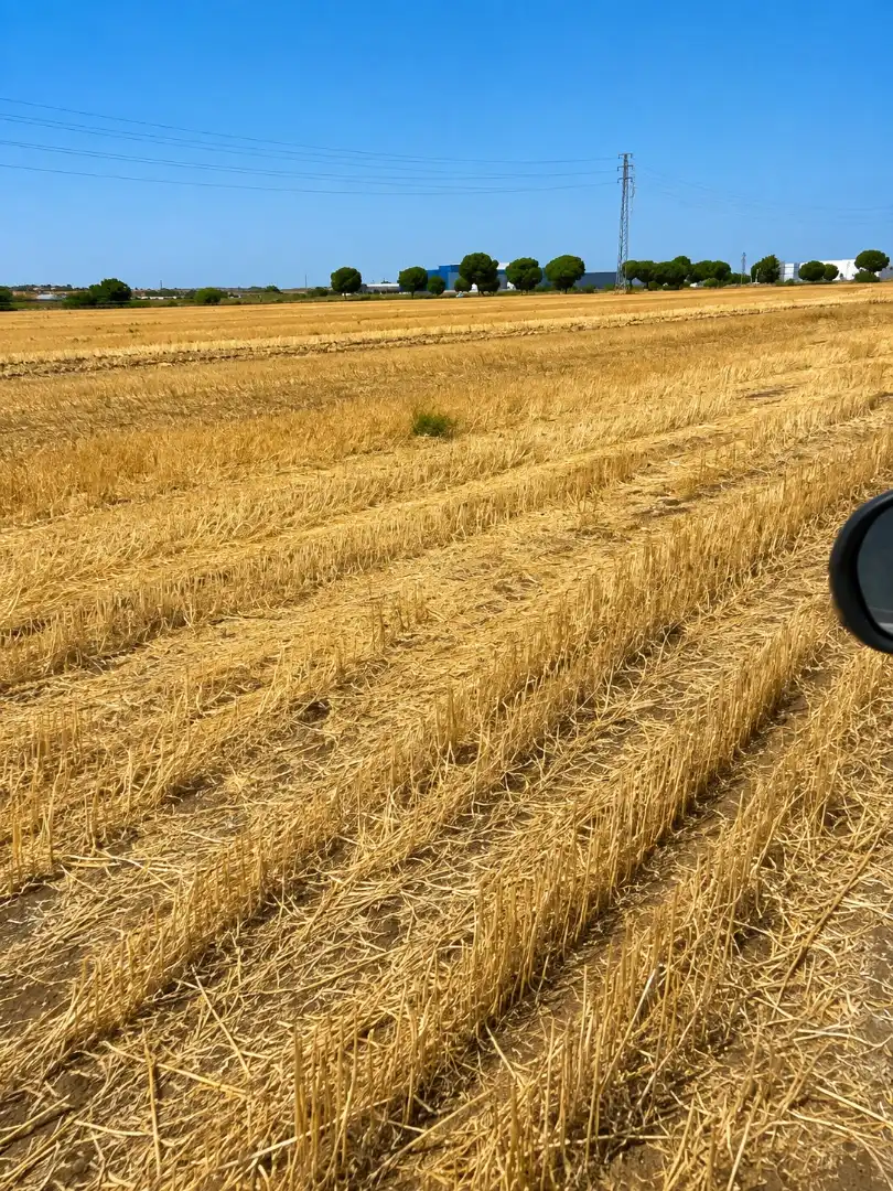 Außenansicht von Grundstücke zum Verkauf in Guillena