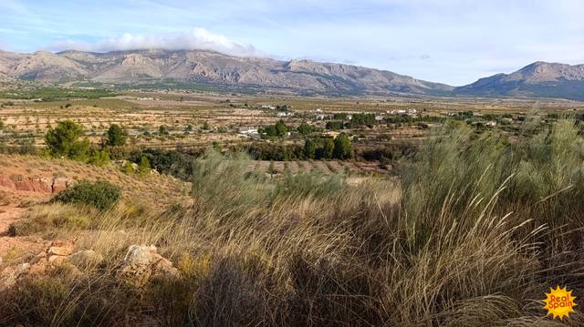 Terreno residencial en Venta en Chirivel