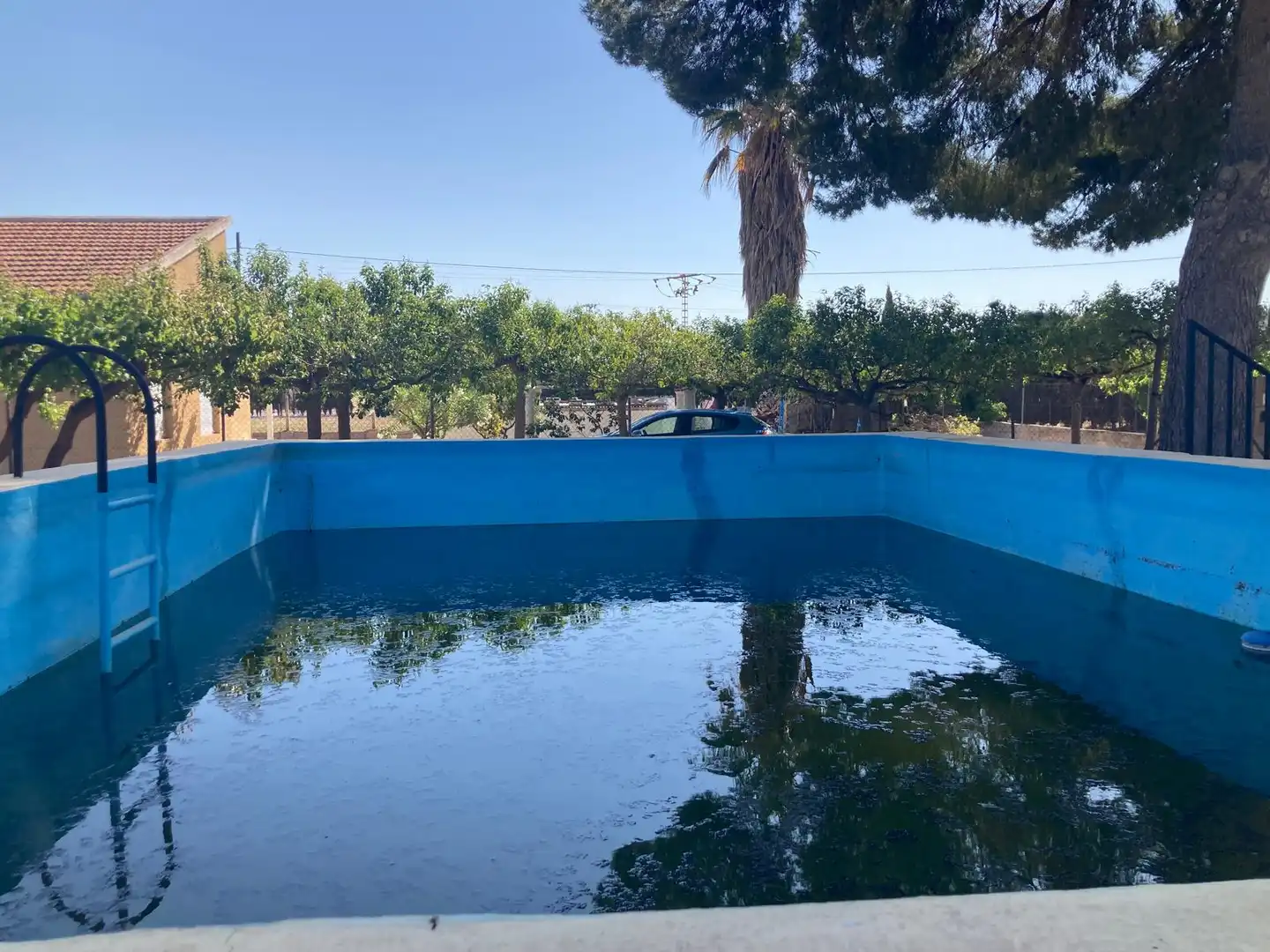 Piscina de Casa o chalet en venta en Villena con Jardín privado, Piscina y Amueblado