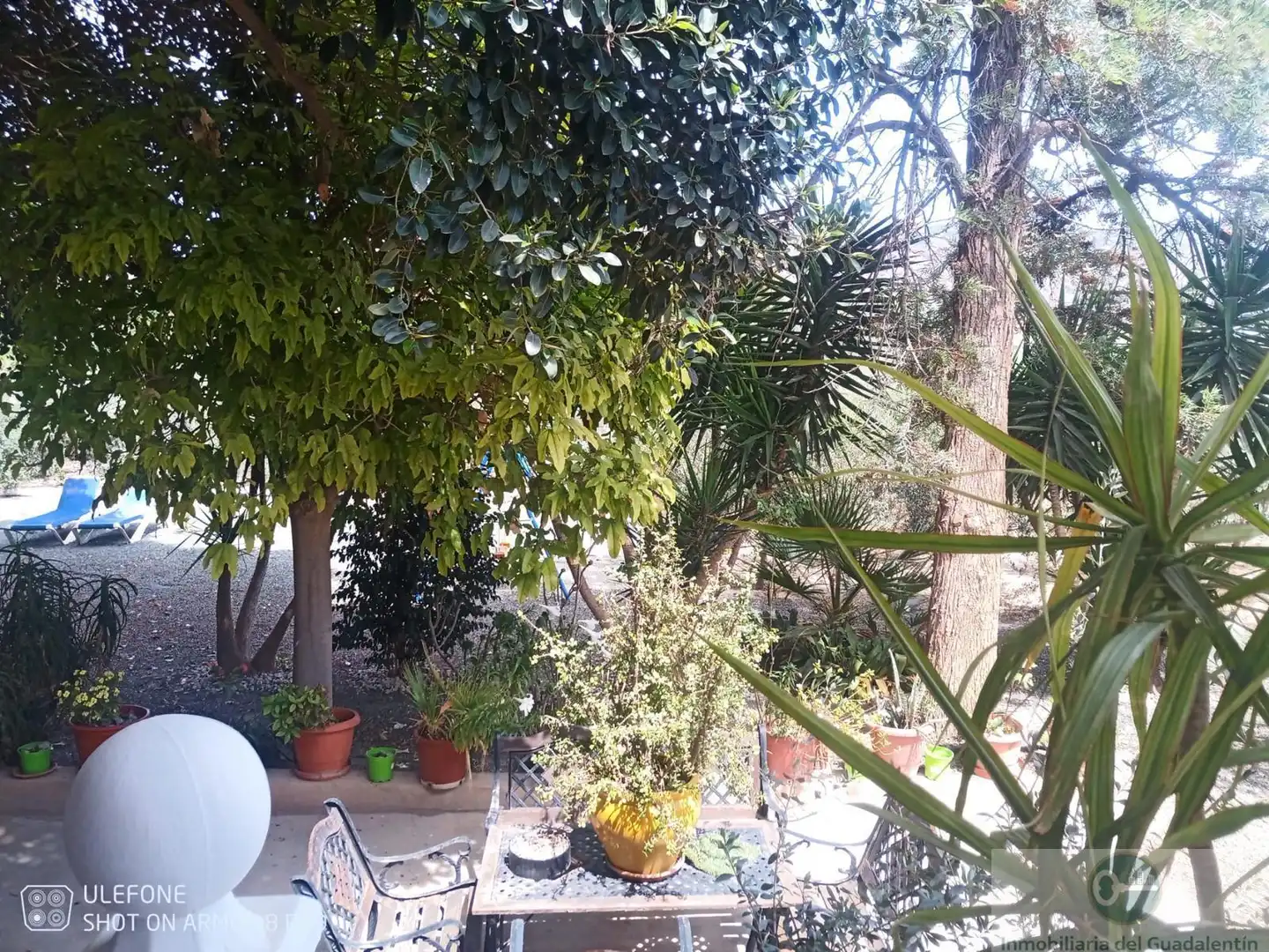 Xalet en venda a Pedanías Centro, imagen 11