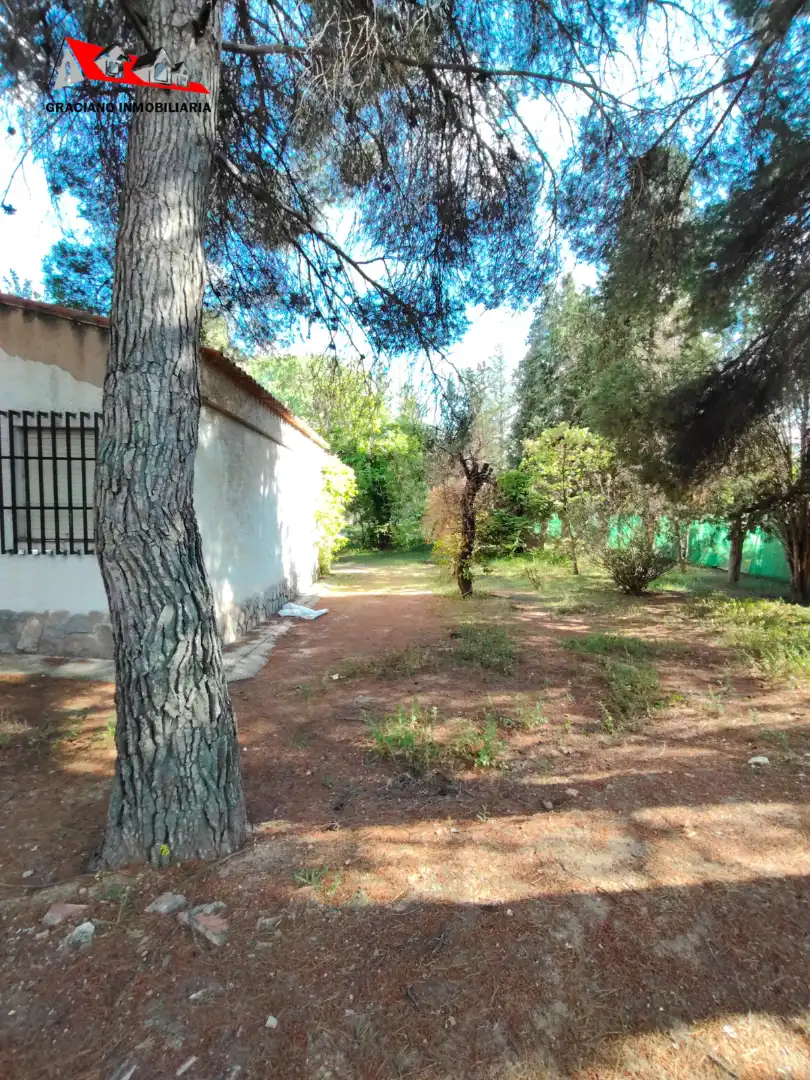 Jardín de Casa o chalet en venta en Albacete con Jardín privado, Trastero y Piscina