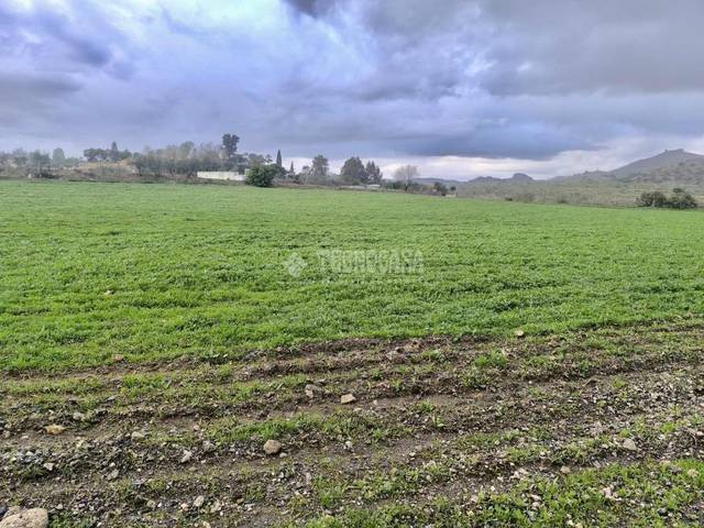 Terreno en Venta en Estación de Cártama