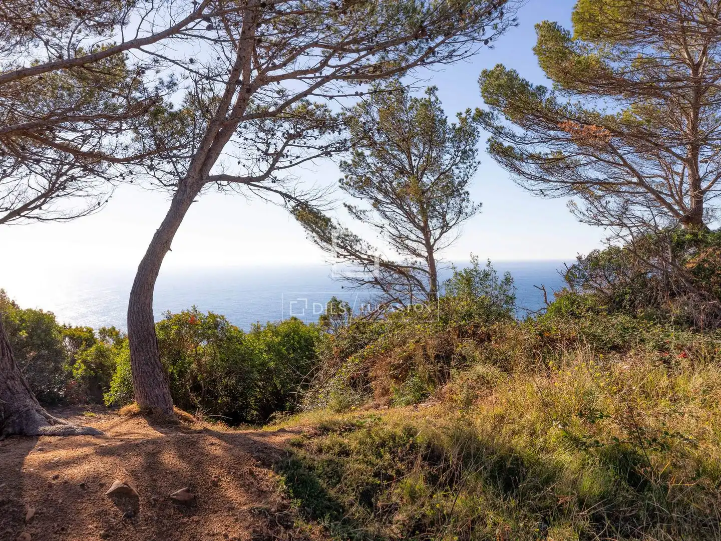 Rustikales Grundstück zum Verkauf in Tossa de Mar pueblo, imagen 19