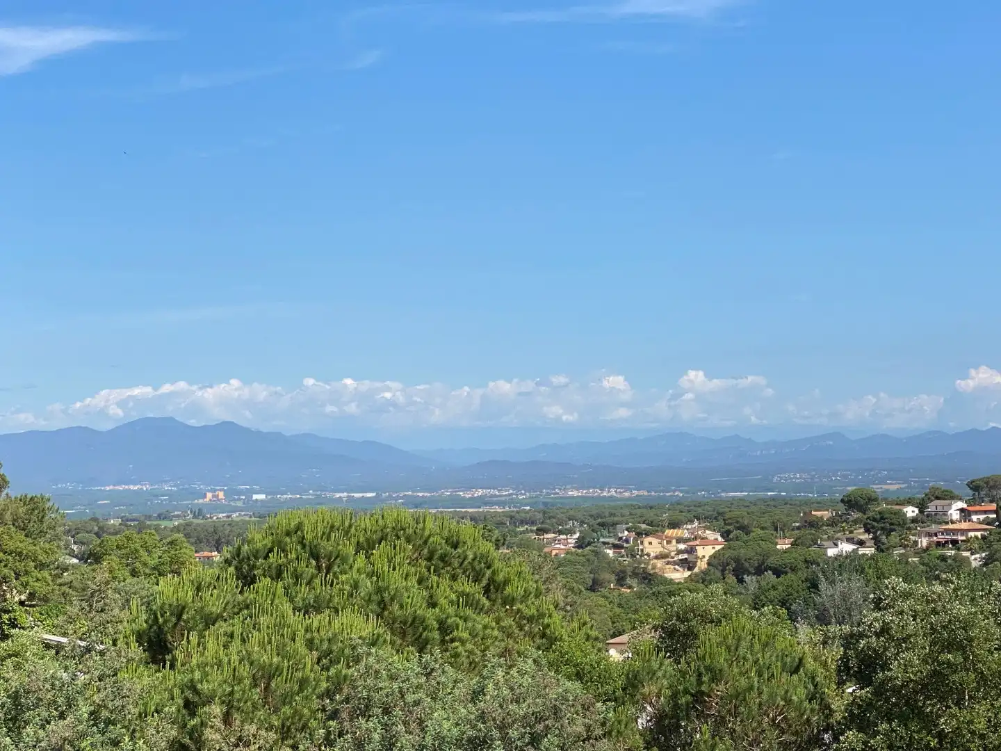 House with pool for sale in Montbarbat, imagen 47