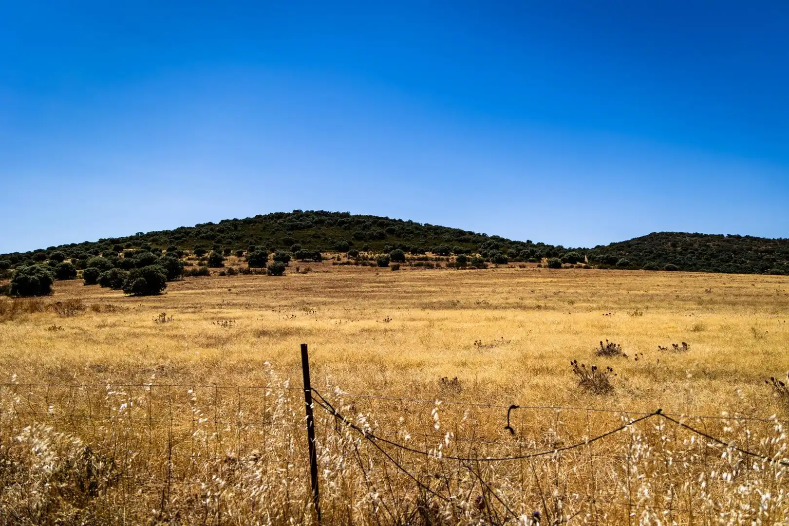 Terreno en venta en Peñarroya-Pueblonuevo