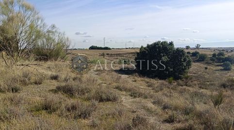 Photo 5 of Land for sale in Méntrida, Toledo