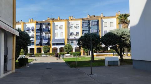 Photo 5 of Flat for sale in Poniente-Norte - Miralbaida - Parque Azahara,  Córdoba Capital