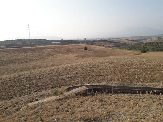 Terreno en Venta en Gibralgalía