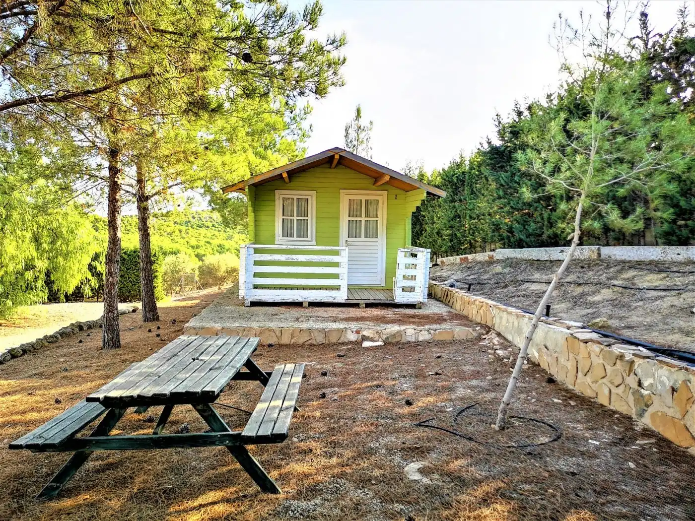 Villa mit Pool zum Verkauf in Pedanías Norte, imagen 14