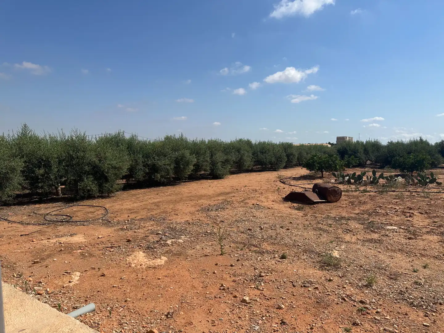 Country house for sale in Pasaje Los Segados, imagen 20