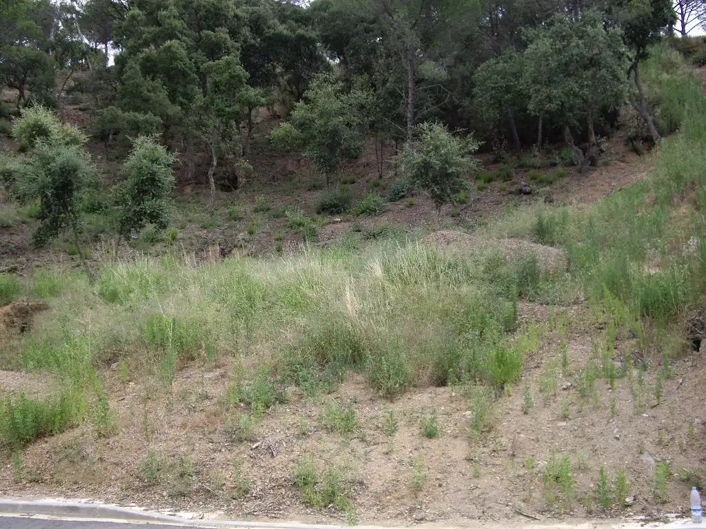 Residential land for sale in Eucaliptus, imagen 7