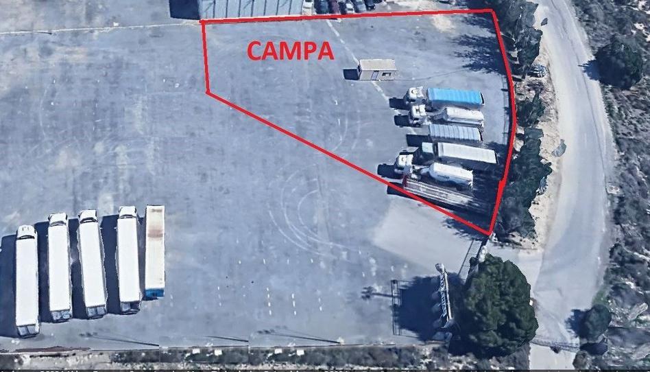 Foto 1 de Residencial de lloguer a Pla de la Vallonga, Alicante