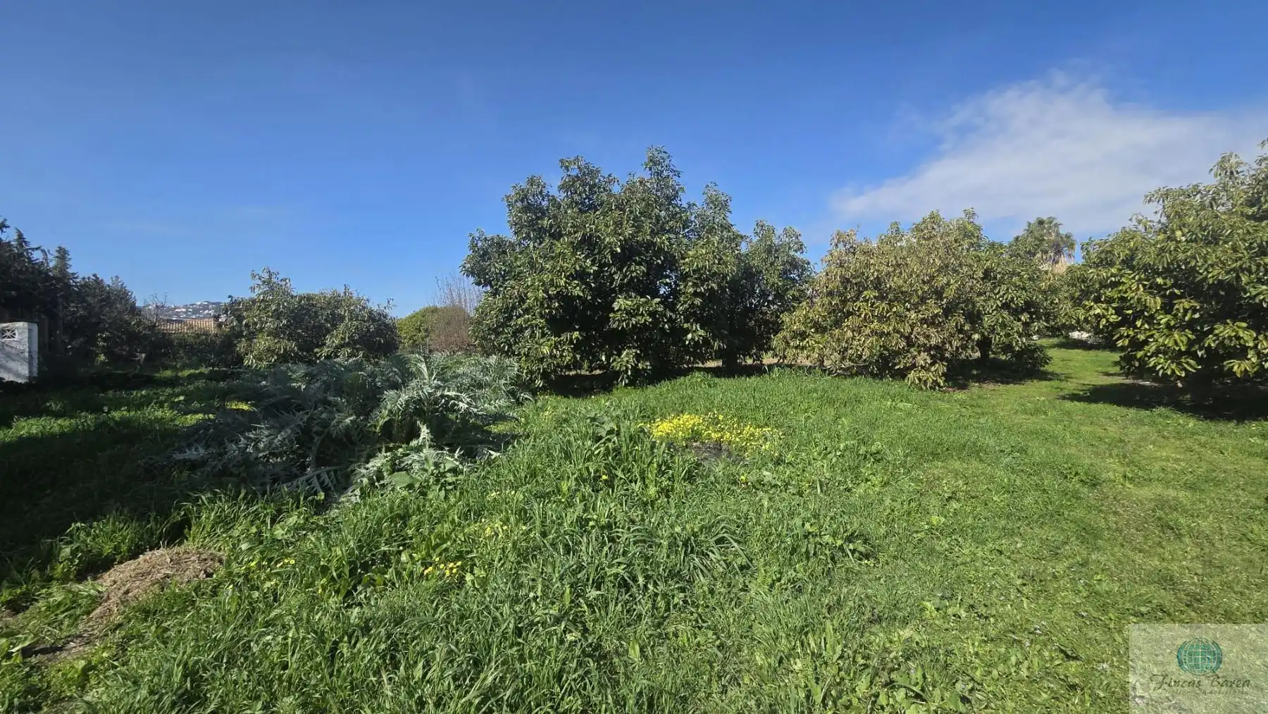 Casa rustica in vendita a Valtocado - La Alquería - La Atalaya, imagen 13