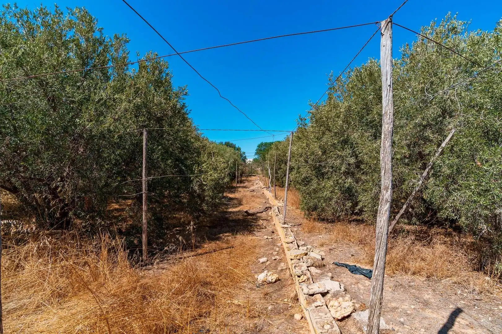 Terreni e lotti in vendita a El Ejido Ciudad