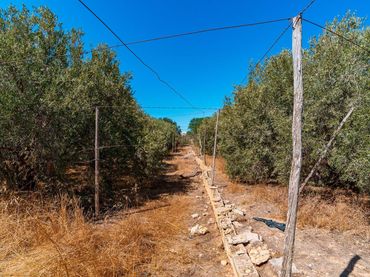 Lands and plots for sale in El Ejido Ciudad